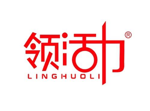 领活力LINGHUOLI