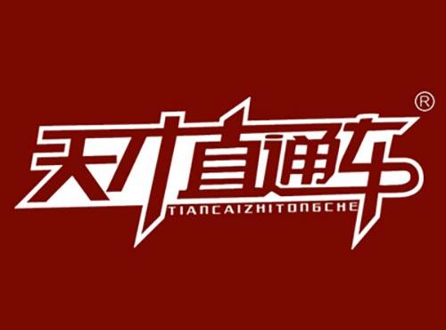 天才直通车TIANCAIZHITONGCHE