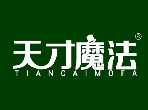 天才魔法TIANCAIMOFA