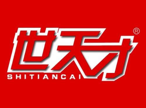 世天才    SHITIANCAI