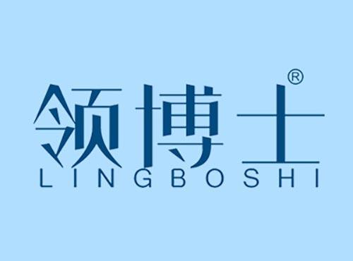 领博士    LINGBOSHI