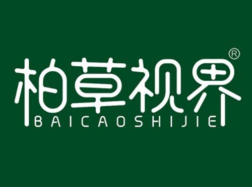 柏草视界  BAICAOSHIJIE