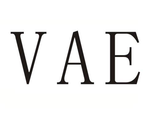 VAE