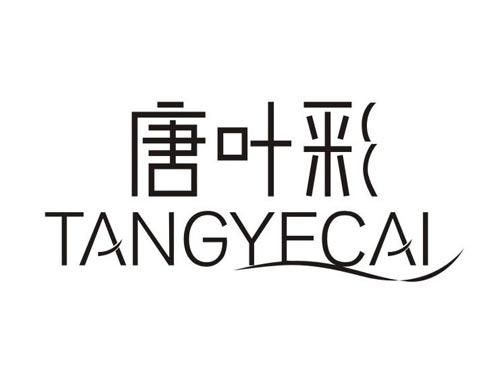 唐叶彩TANGYECAI