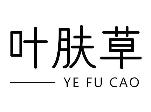 叶肤草