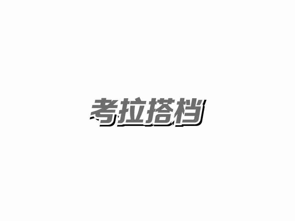 考拉搭档
