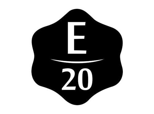 E 20