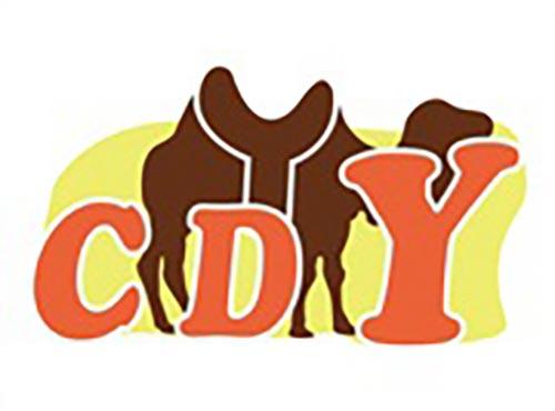CDYY