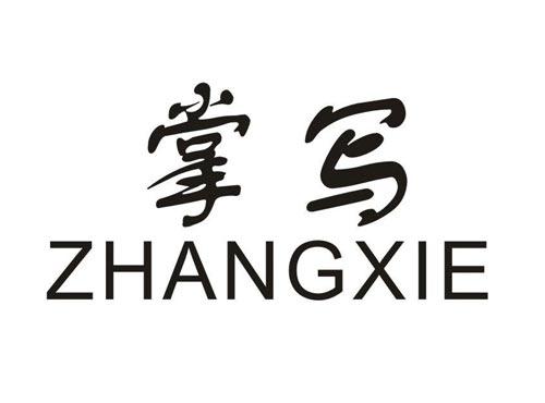 掌写