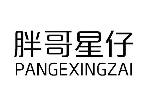 胖哥星仔