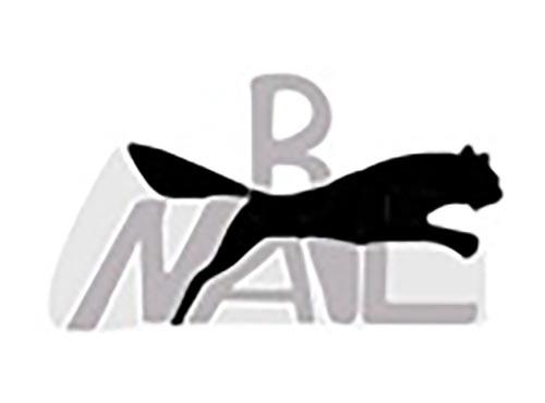 B NAIE