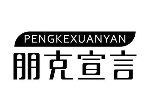 朋克宣言