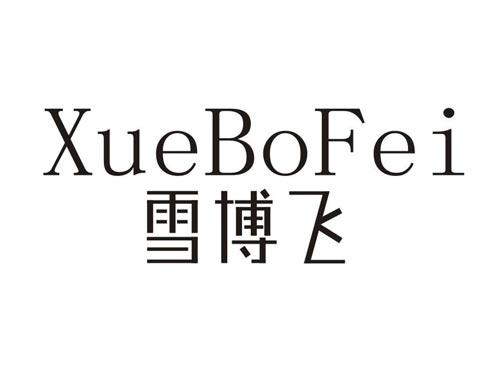 雪博飞