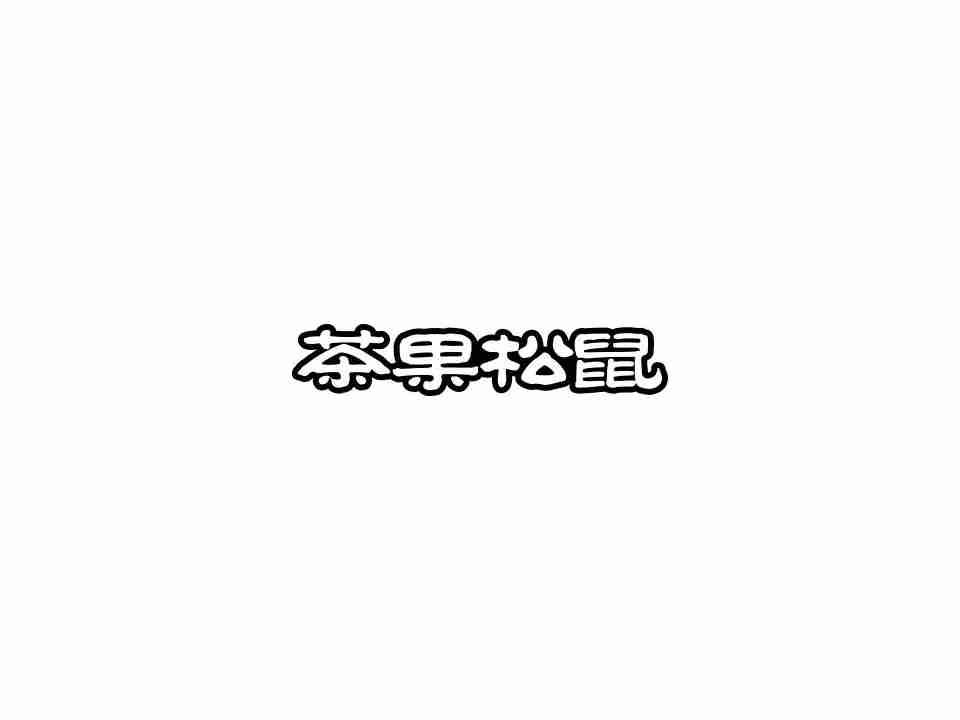 茶果松鼠
