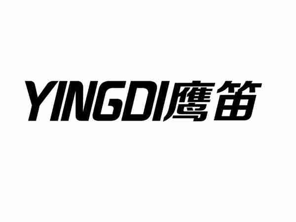 鹰迪+YINGDI
