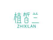 植皙兰