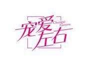 宠爱左右