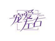宠爱左右