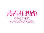 青春狂想曲