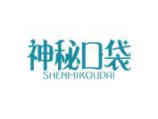 神秘口袋