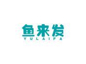 鱼来发