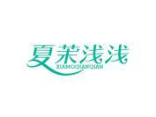 夏茉浅浅