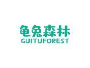 龟兔森林 GUI TU FOREST