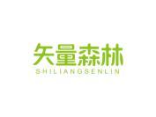 矢量森林