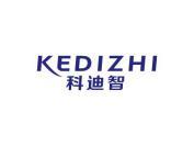 科迪智