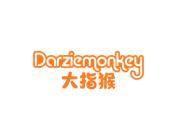 大指猴  DARZIEMONKEY