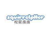 松鼠皮皮 SQVIRRELPLLER