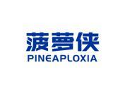 菠萝侠 PINEAPLOXIA