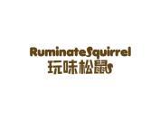 玩味松鼠 RUMINATE SQUIRREL