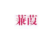 蒹葭
