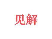 见解