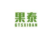 果泰 GTSXIOAN