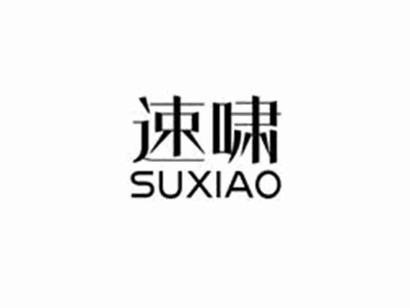 速啸SUXIAO