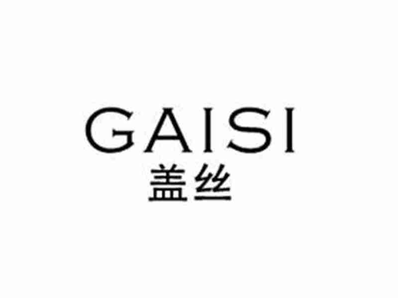 盖线GAISI