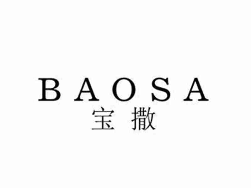 宝撒BAOSA