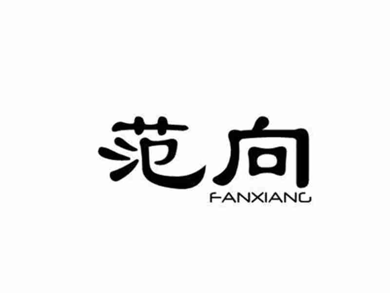 范向FANXIANG