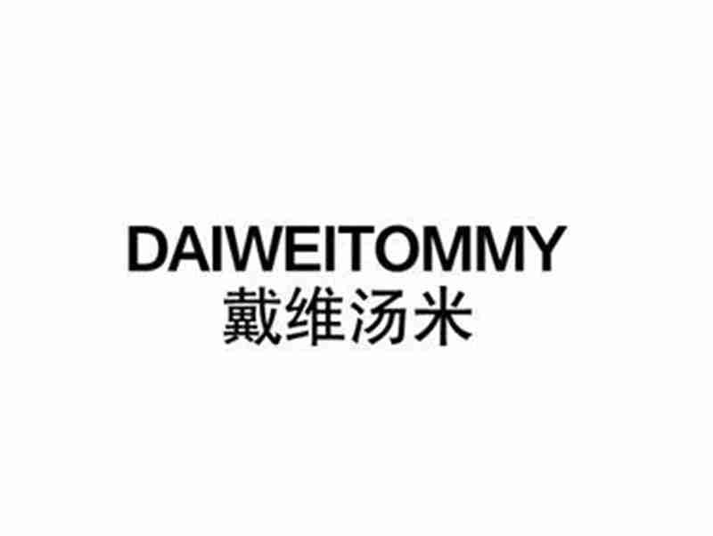 戴维汤米DAIWEITOMMY