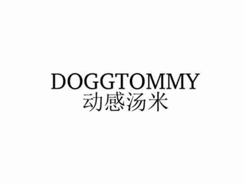 动感汤米DOGGTOMMY