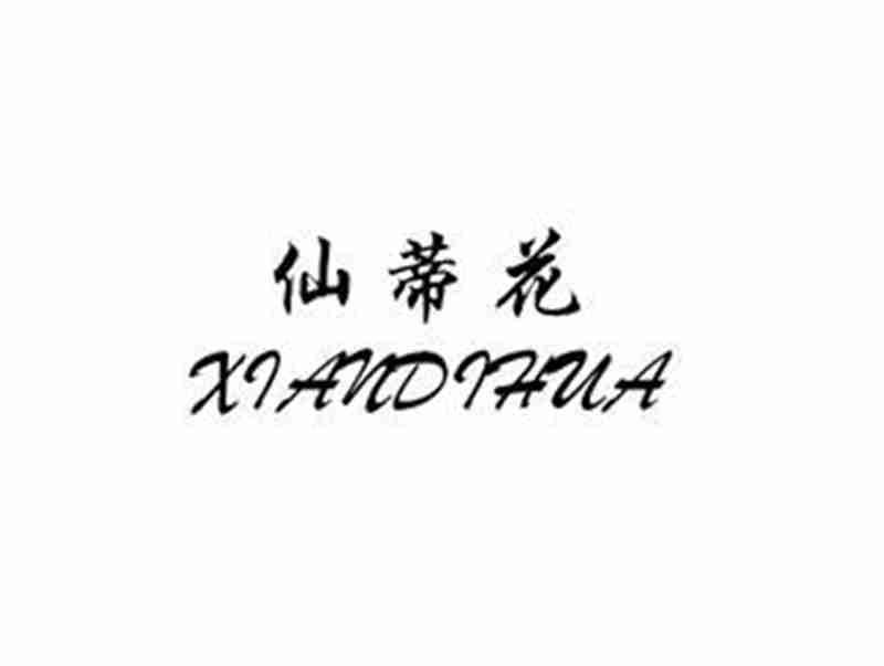 仙蒂花