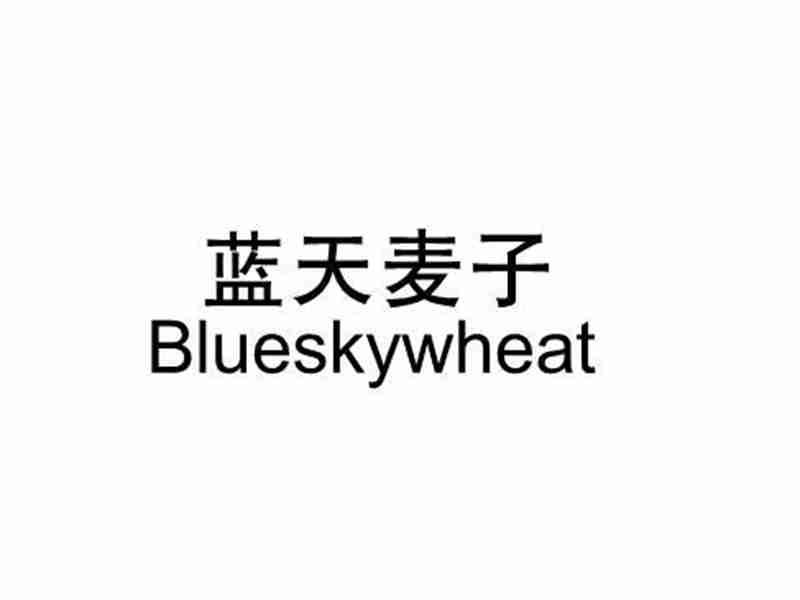 蓝天麦子BLUESKYWHEAT