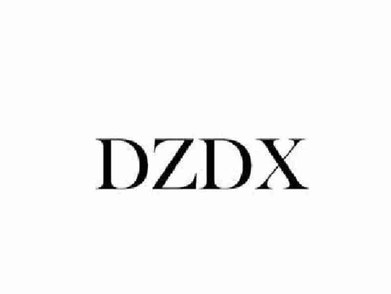 DZDX