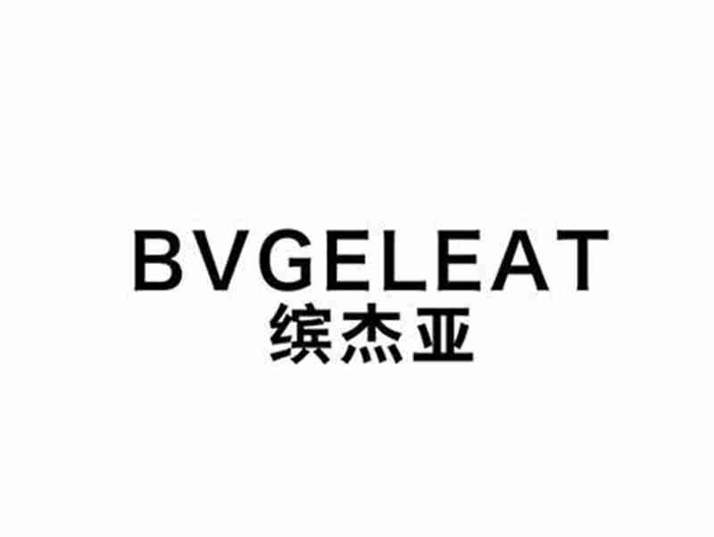 缤杰亚BVGELEAT（有18类）