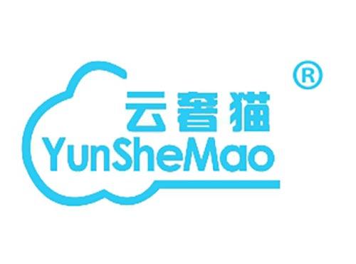 云奢猫