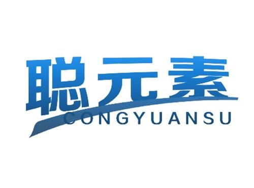 聪元素