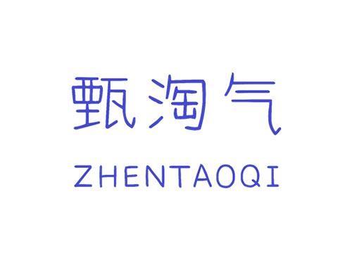 甄淘气