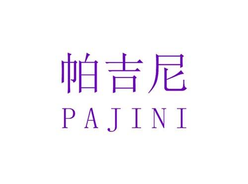 帕吉尼